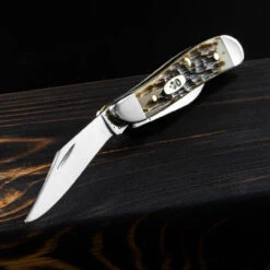 Case Amber Bone Peanut -Adventure Knives CA045 72854.1674051201.1280.1280 57079.1674121948