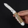Case Canoe Yellow Curly Oak Folding Knife -Adventure Knives CA47126.1 56466.1696507507