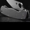 Titech Spyderco PM2 Stone Washed Titanium Scales -Adventure Knives HH SC SW P2.3 41263.1635785472