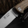 Joker Cocker NB134 Bocote Folding Knife -Adventure Knives JOK NB134.2 43177.1685980470