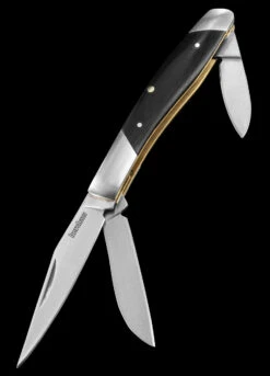 Kershaw Iredale -Adventure Knives KS4386 14502.1665676773.1280.1280 19038.1665760728