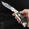 Rough Rider Bow Trapper Buckshot Bone -Adventure Knives RR2322 07816.1651048540.1280.1280 31123.1651147267