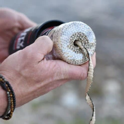 Rapid Rope Canister -Adventure Knives RRPC6010det5 05809.1640877901