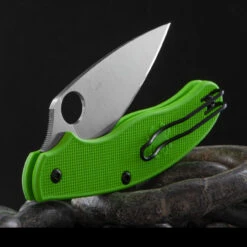 Spyderco UK Penknife Salt Green -Adventure Knives SC94PGR.2 72263.1663670864.1280.1280 12181.1663932164