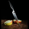 Samura Modern Chef's Knife Reptile -Adventure Knives TC SRP 0087det2 47617.1623233914
