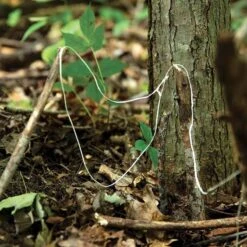 Atwood Parapocalypse Paracord -Adventure Knives rg1294hdet4 34928.1587415945